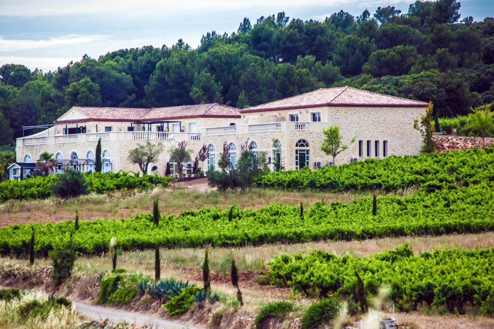 Chateau De Valloubiere Saint-Jean-de-Fos Exterior photo